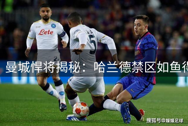 曼城悍将揭秘：哈兰德禁区如鱼得水 黄仁范葡超前景获盛赞